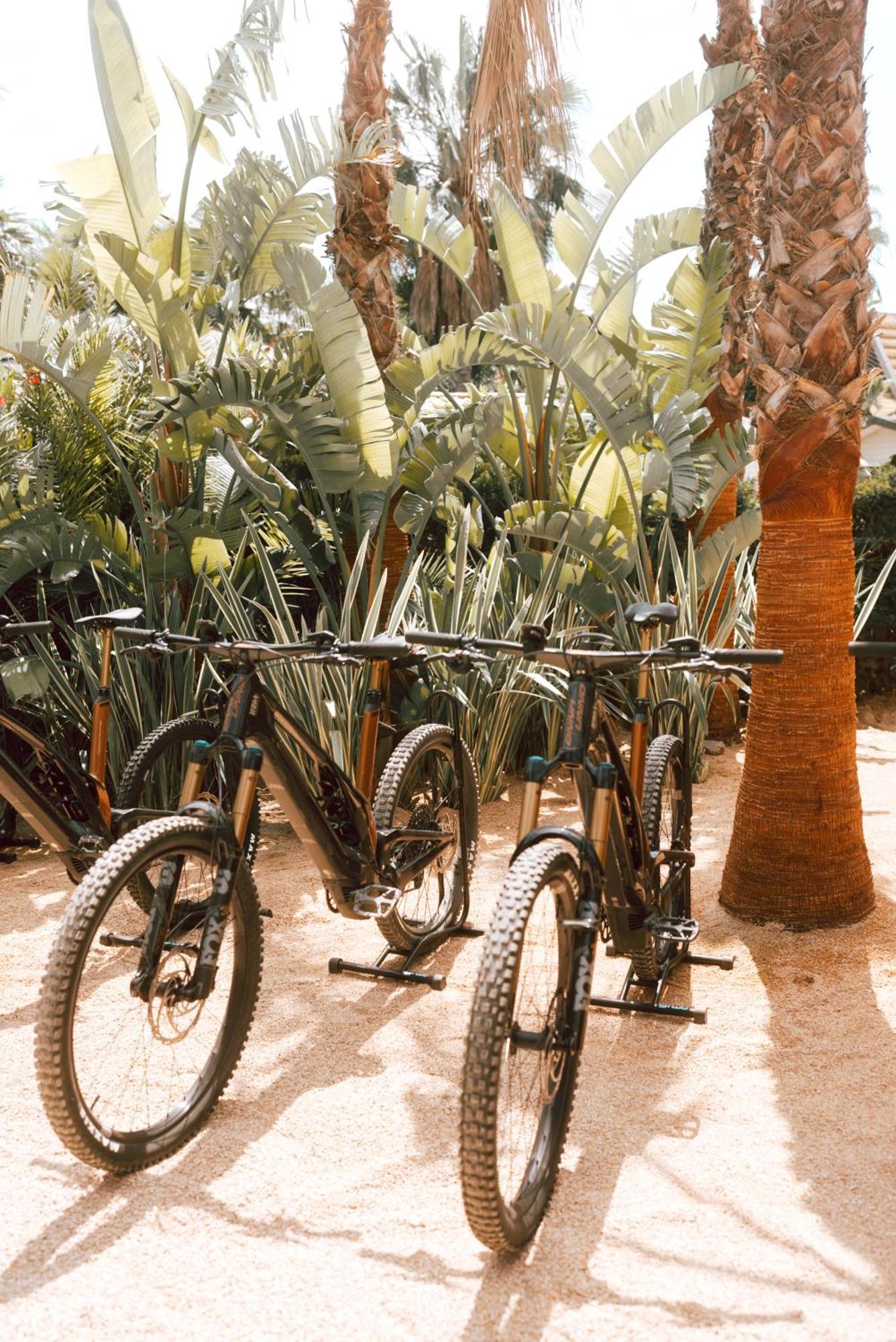 ホテル Toison D'Or ラマチュエル エクステリア 写真 Bicycles at the Desert Botanical Gardens