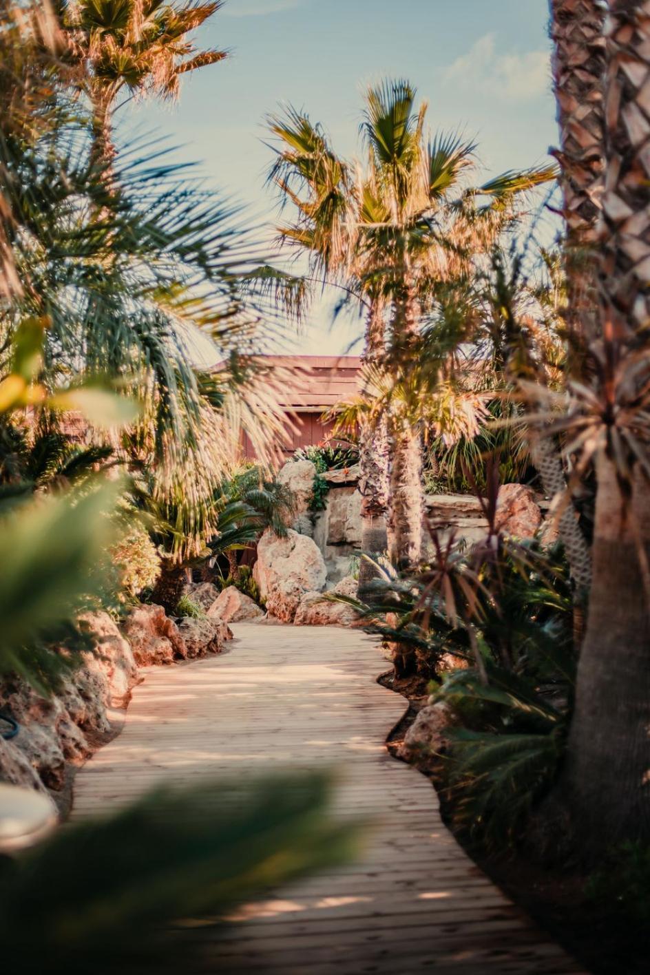 ホテル Toison D'Or ラマチュエル エクステリア 写真 The Palm House